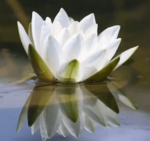 a a